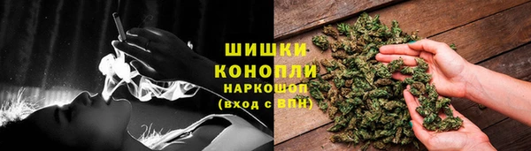 бошки Алексин