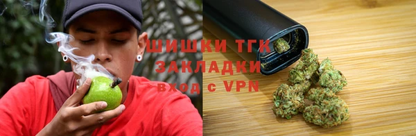 бошки Алексин