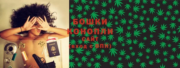 бошки Алексин